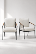 Modern Accent Chairs Set of 2